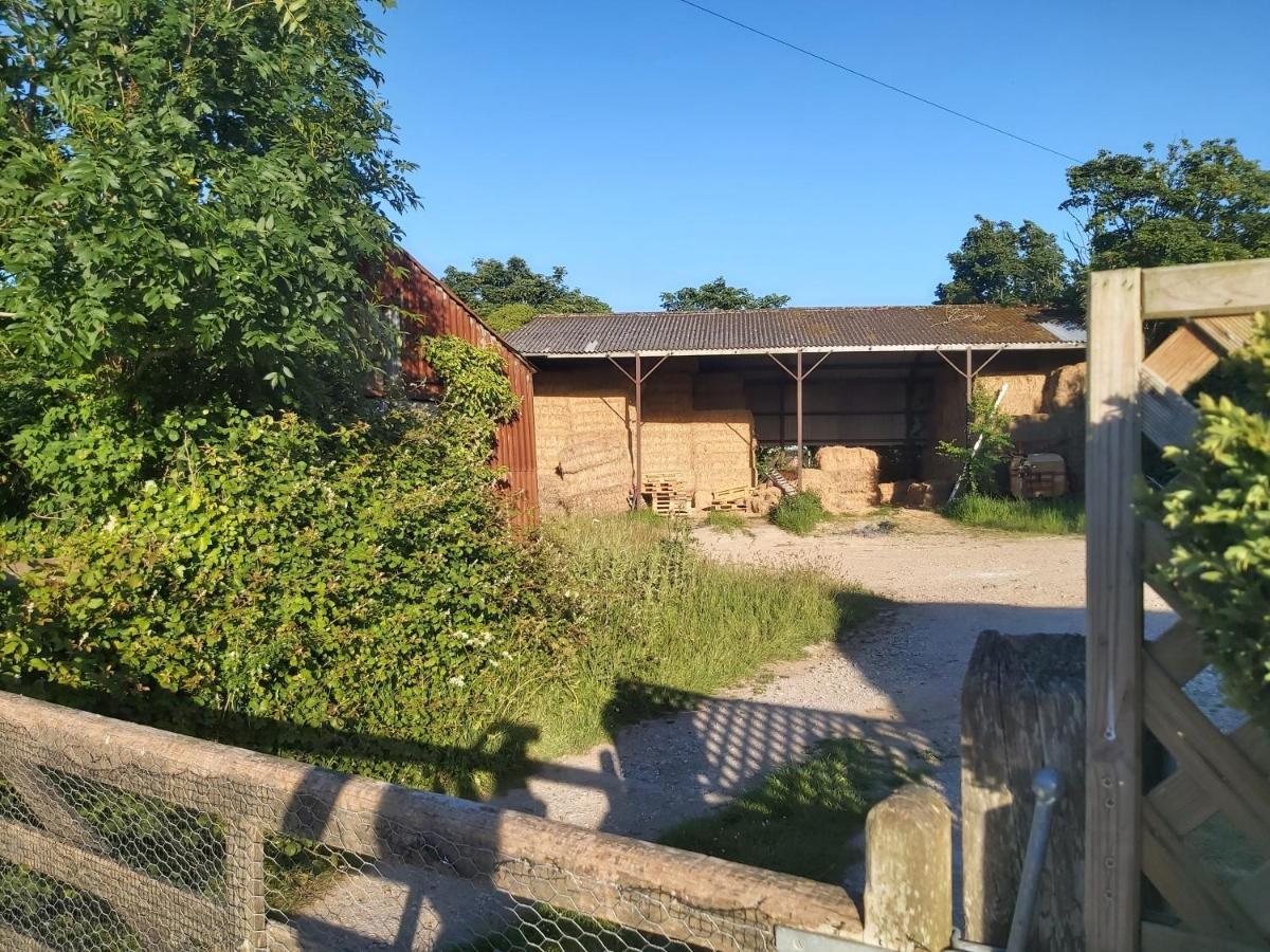 Beautiful Barn Conversion, 3 Bed, Hot Tub, Sauna, Gym, Enclosed Garden Райд Экстерьер фото